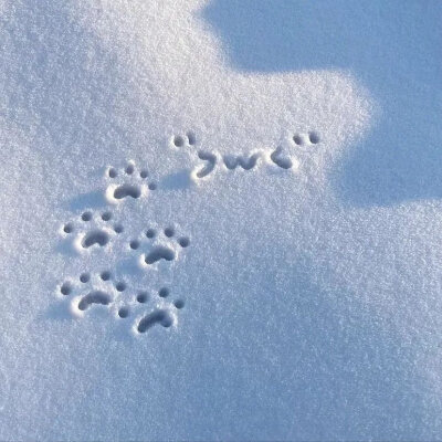 只要你还在笑，那这个世界就不算太糟糕