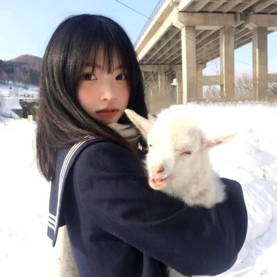 小众女头|如果痛我做你的ok绷