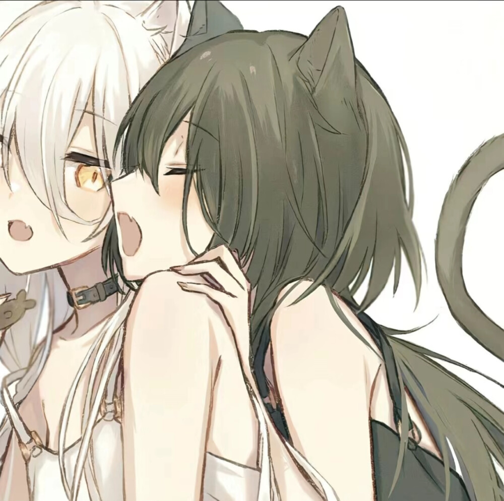 姐妹头
