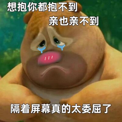 小雨日记