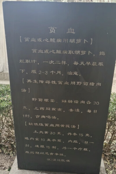 来自扁鹊馆