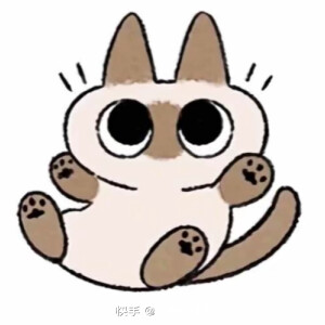 可爱的暹罗猫小豆泥