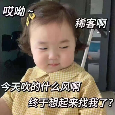 表情包