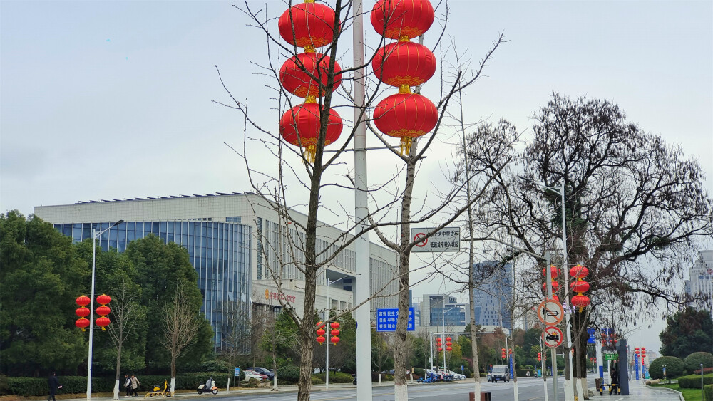 2024年2月2日，随着春节的临近，在江西吉安，各主要街道的灯杆上、两旁的行道树上，都挂上了红红的灯笼，一片喜庆氛围，年味也渐渐浓了。