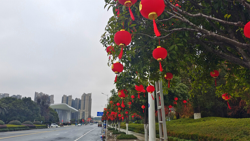 2024年2月2日，随着春节的临近，在江西吉安，各主要街道的灯杆上、两旁的行道树上，都挂上了红红的灯笼，一片喜庆氛围，年味也渐渐浓了。