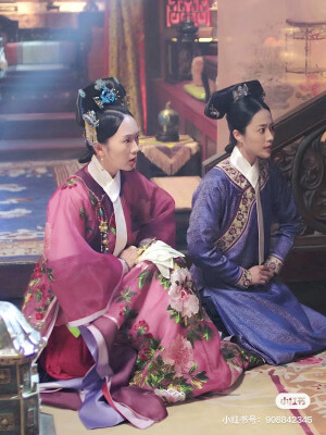 如懿传。  高晞月