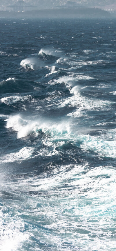 大海