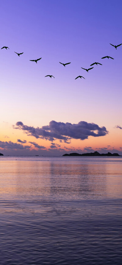 大海