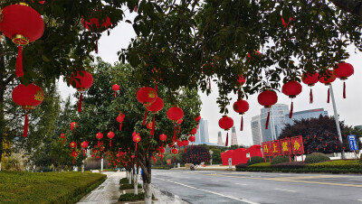 2024年2月2日，随着春节的临近，在江西吉安，各主要街道的灯杆上、两旁的行道树上，都挂上了红红的灯笼，一片喜庆氛围，年味也渐渐浓了。