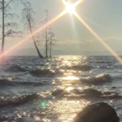 小众背景图.ins
图源网络