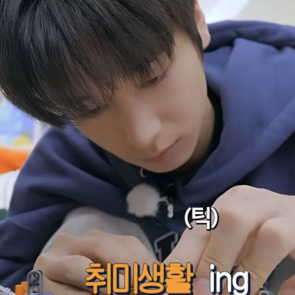 哦哈哟猪演欧巴