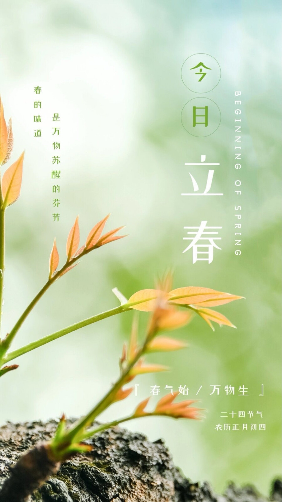 立春图片来自网络，侵删