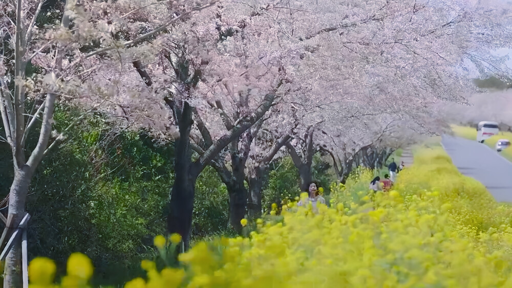 橙光背景