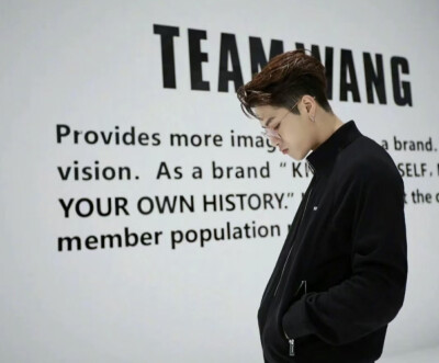 王嘉尔 TEAM WANG