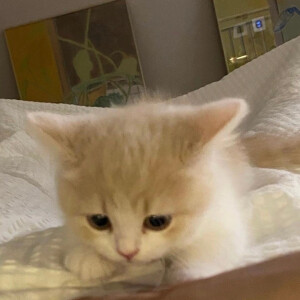 幼儿园等人来接的小朋友