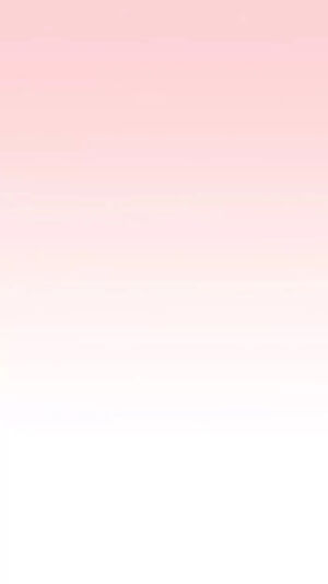 小猫专辑刊゛Obedient