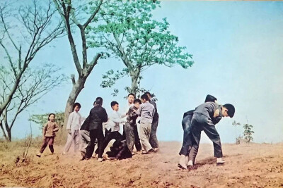 《婉君表妹》1965年
