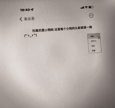 灰影迷雾中 戏剧化的重逢