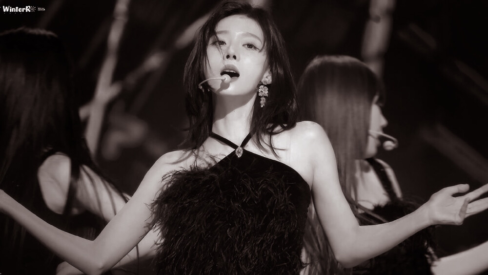 
缇色刺玫（Midnight Roses）