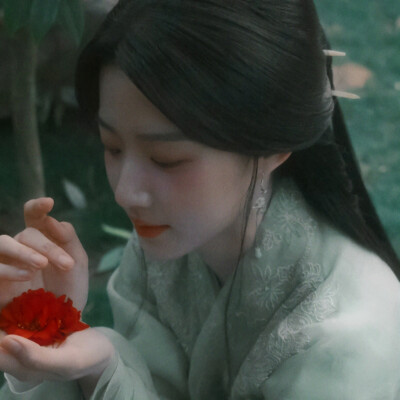 玫瑰用尖刺推开了想折下她的手 却被指责为什么要有花香