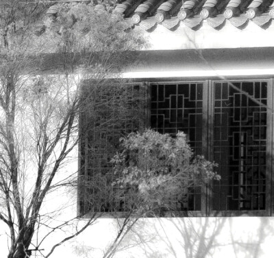  “鹤别空山 今春不见桃花”-Tout mis à jour