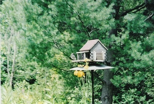 小清新 唯美 温馨