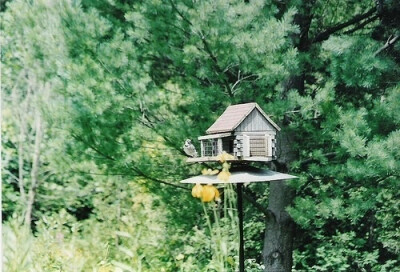 小清新 唯美 温馨