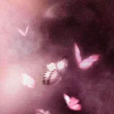 溺水魚
