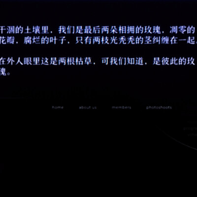 “哥哥，我不是贪心的小鬼”
“那就活的自由些吧”