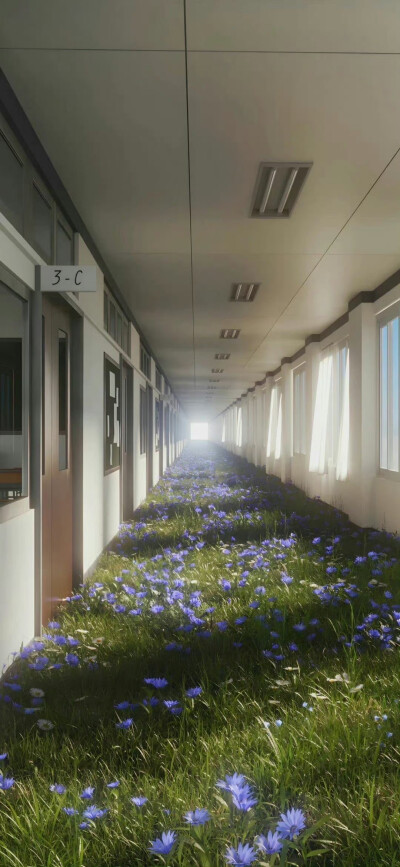 手机壁纸