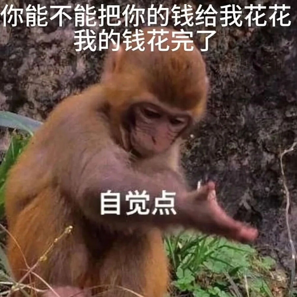 杂七杂八的表情包