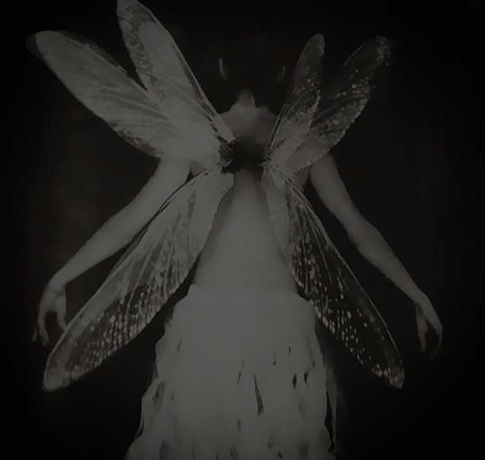 老公是你的啥～大声说出来～老公是我的天～喵喵喵喵喵(˶‾᷄ ⁻̫ ‾᷅˵)老婆是你的啥～大声说出来啊～！老婆是我的命～汪汪汪汪汪∧( 'Θ' )∧