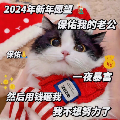 问老公要压岁钱·猫咪表情包