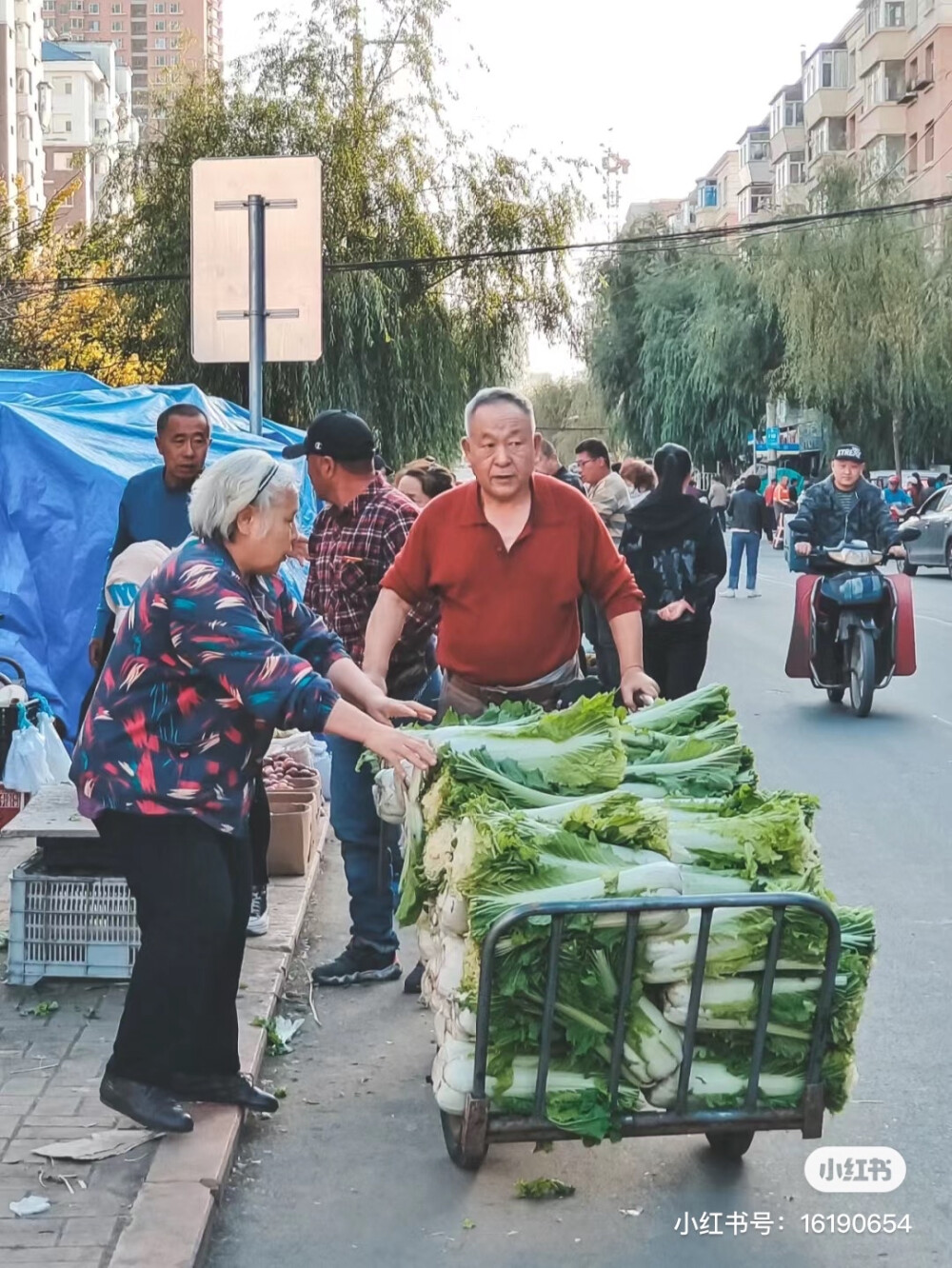 东北早市