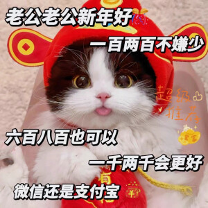 问老公要压岁钱·猫咪表情包 - 高清图片,堆糖,美图壁纸兴趣社区