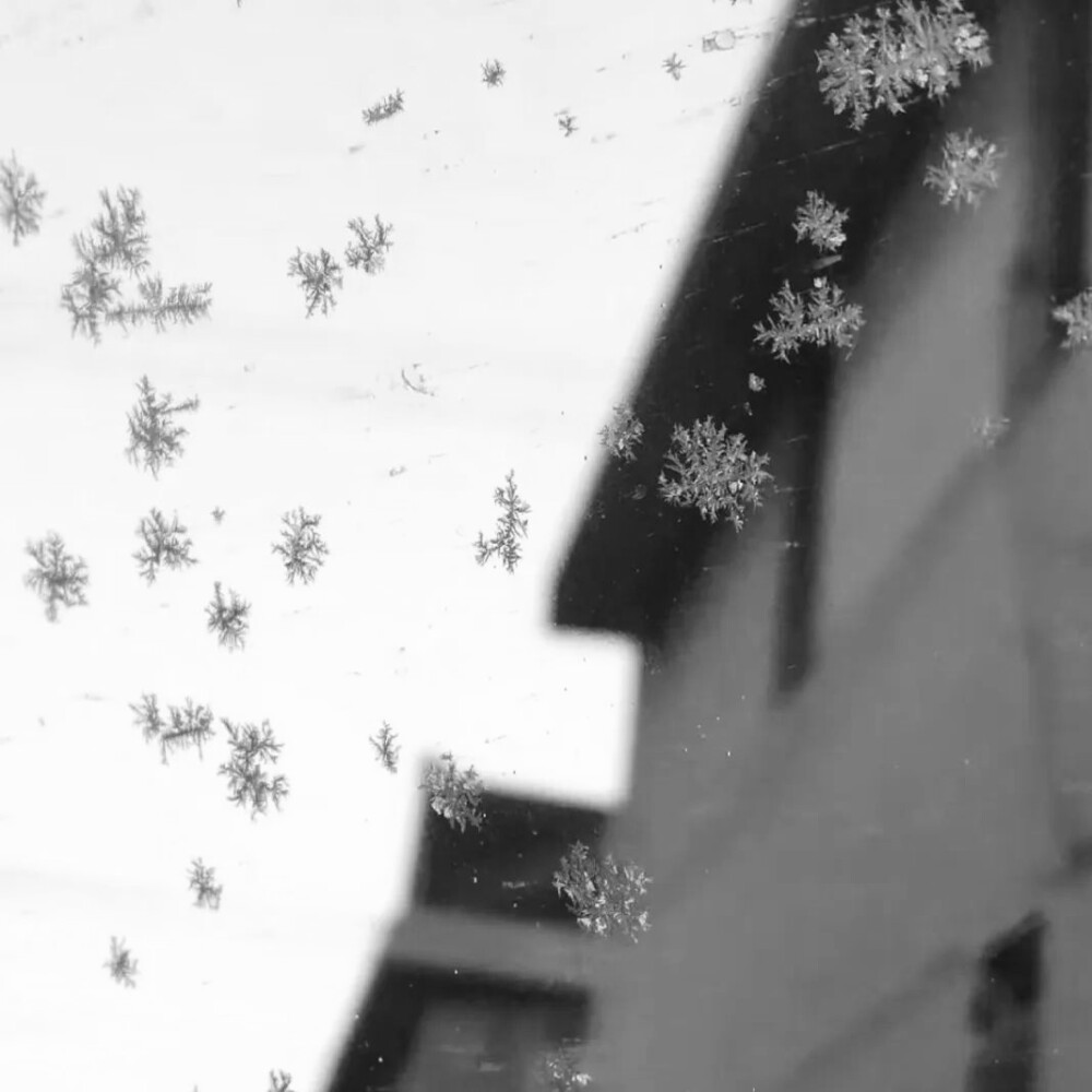 新年快乐宝宝们！啊啊啊黎大王太厉害了被我拿到了嘻嘻