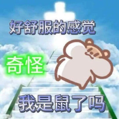 堆糖怎么更新的这么额高级？？？？？？？