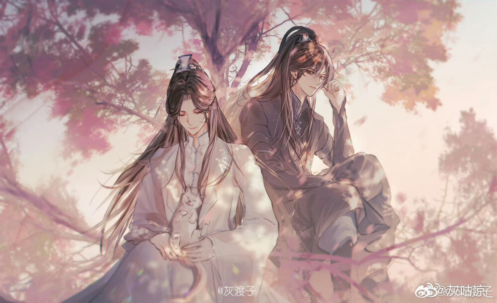 二哈和他的白猫师尊