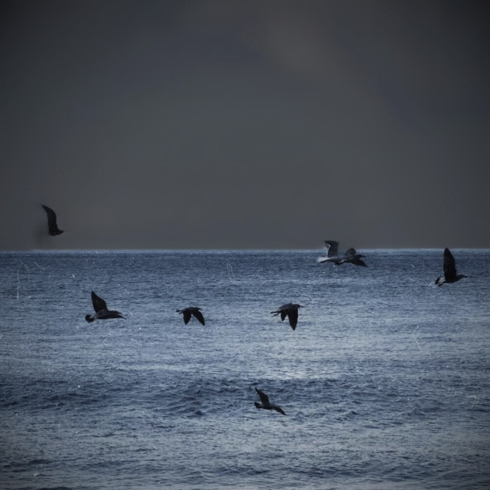 看云卷云舒 望潮起潮落.