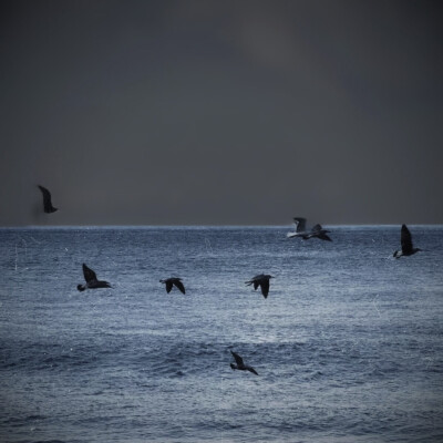 看云卷云舒 望潮起潮落.