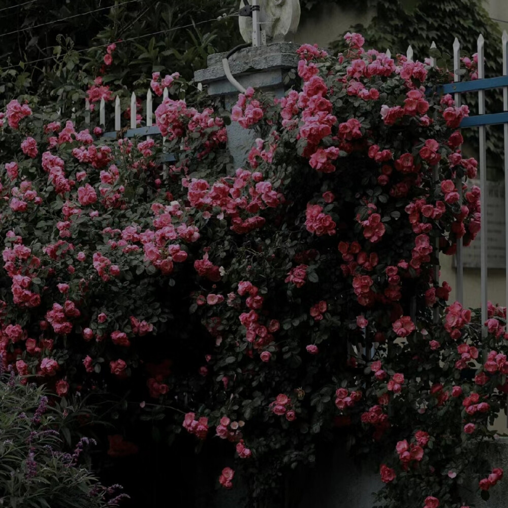 暗系高级感背景图