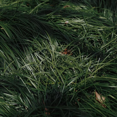 暗系高级感背景图