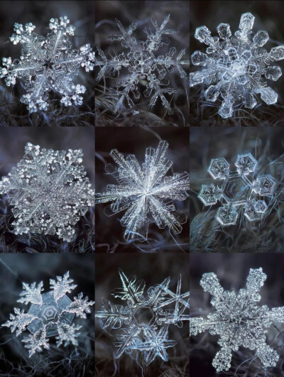 雪花❄️