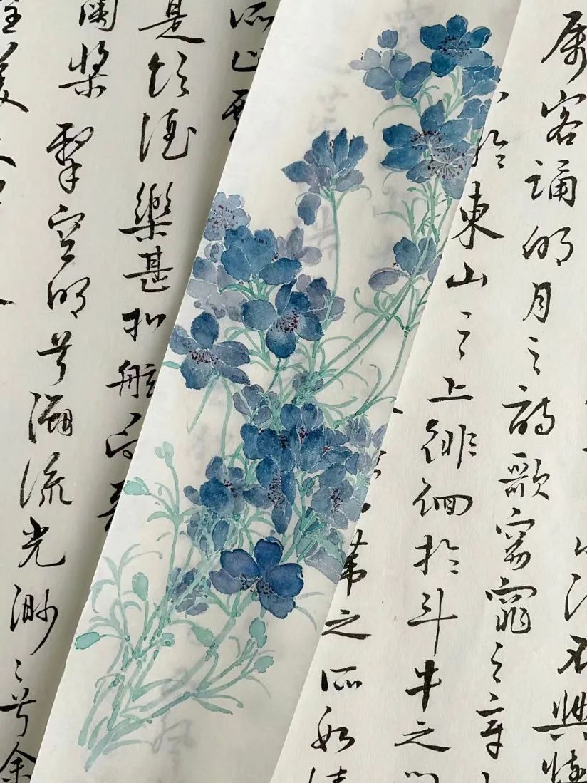 书法与花