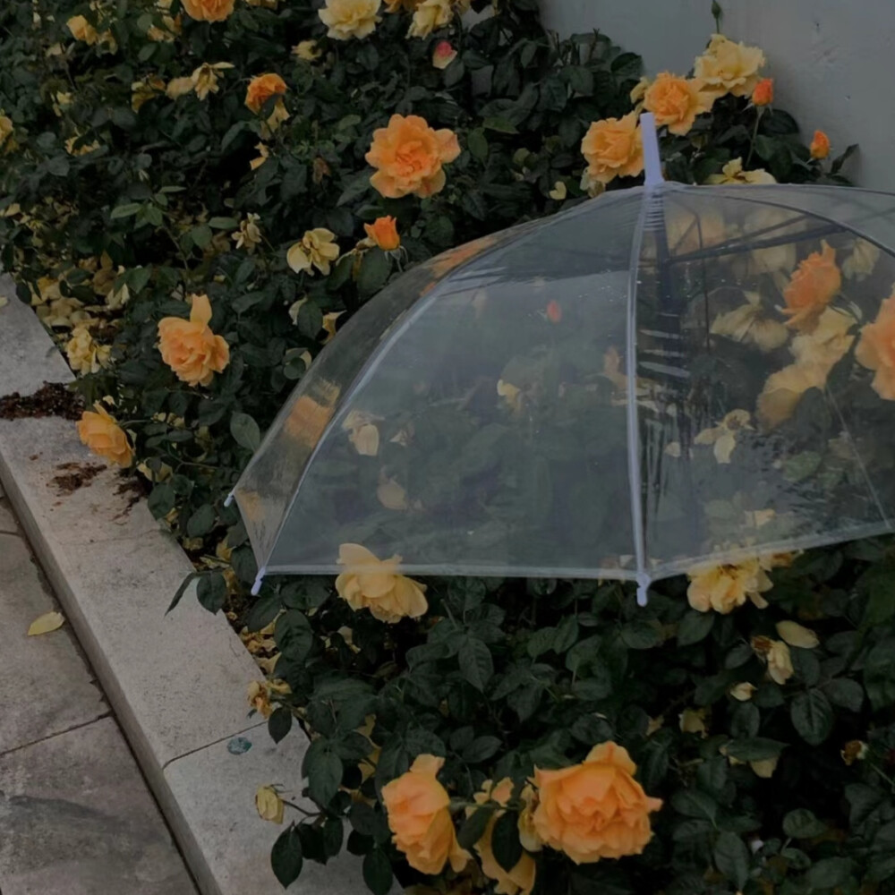 暗系高级感背景图