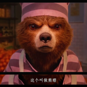 本喵~帕丁顿熊2