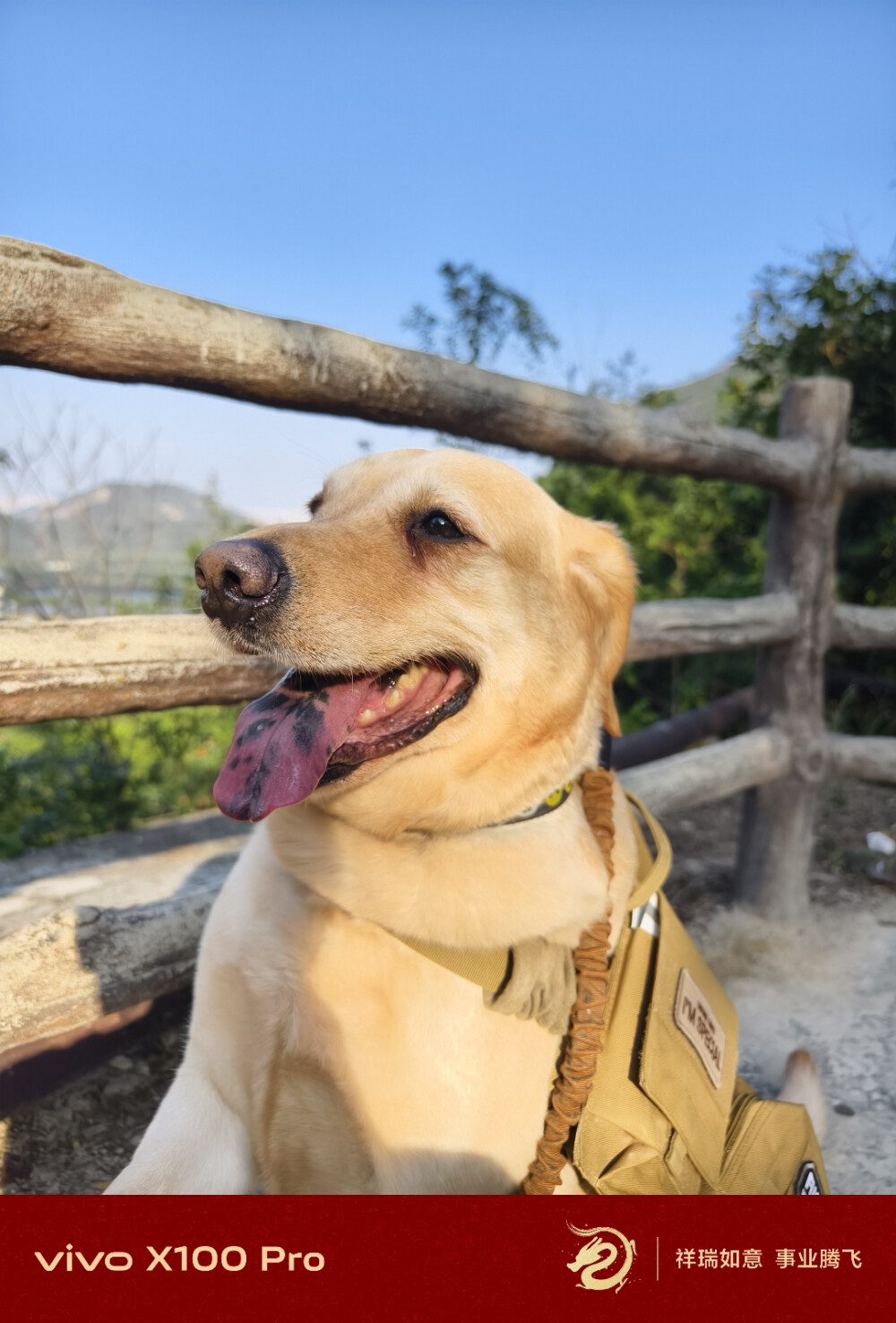 带狗子爬山