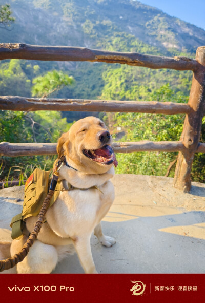 带狗子爬山