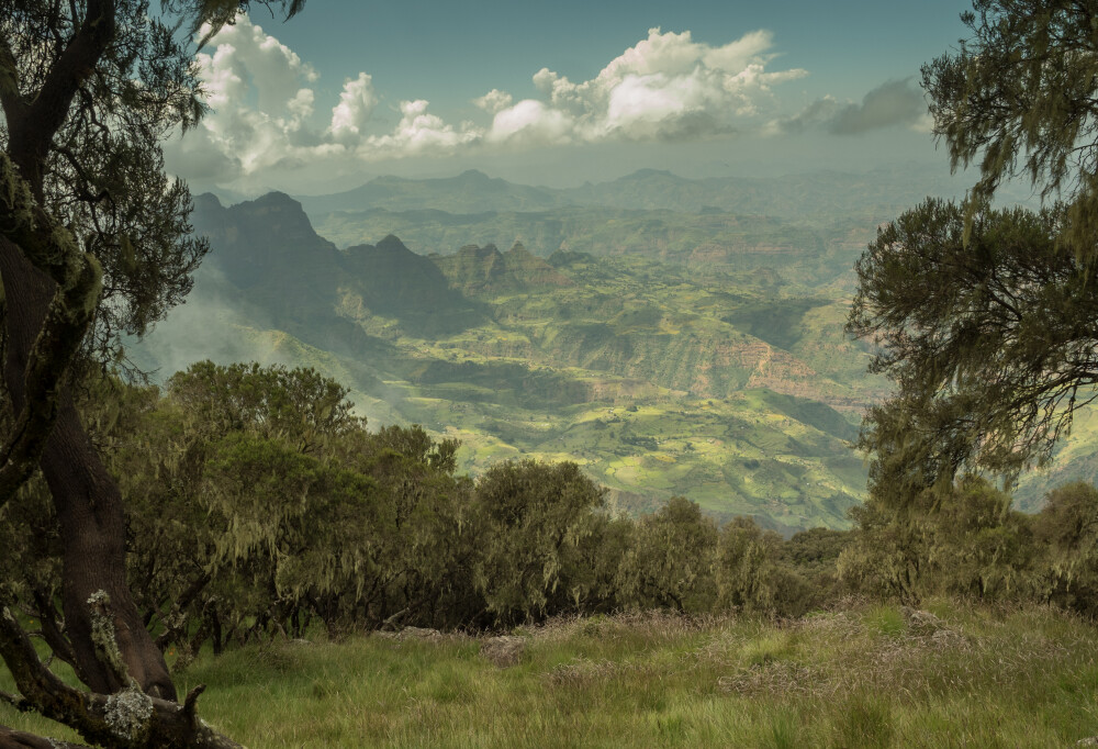 埃塞俄比亚 瑟门山国家公园 Taken from our trek in the simien mountain 摄影师 flickr simon ward 