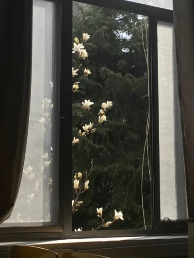小花花(ᐡ o̴̶̷̤ ﻌ o̴̶̷̤ ᐡ)